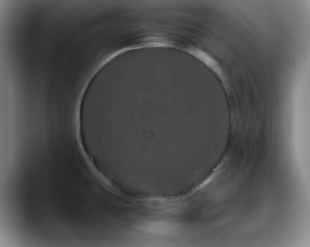 X0000090621431200707171427