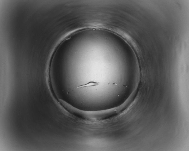X0000090621432200707171427