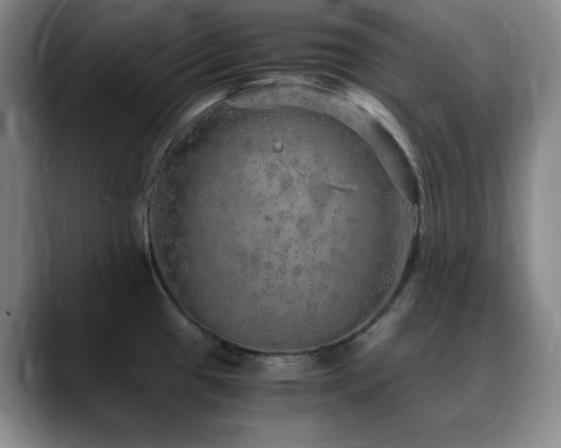 X0000090621433200707171427