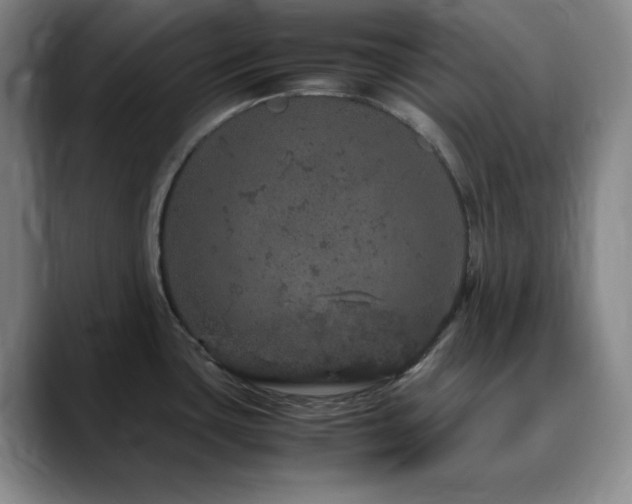 X0000090621435200707171427