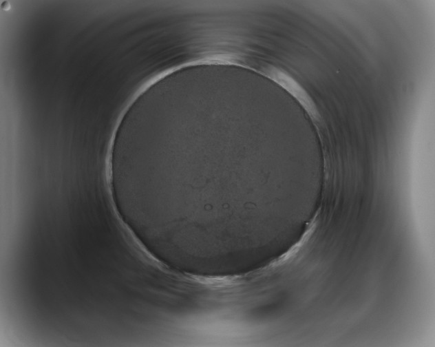 X0000090621436200707171427
