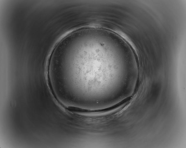 X0000090621437200707171427