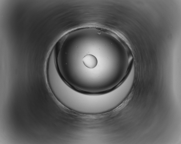 X0000090621438200707171427