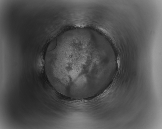 X0000090621444200707171426