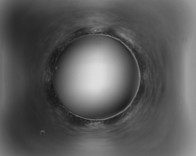 X0000090621447200707171426