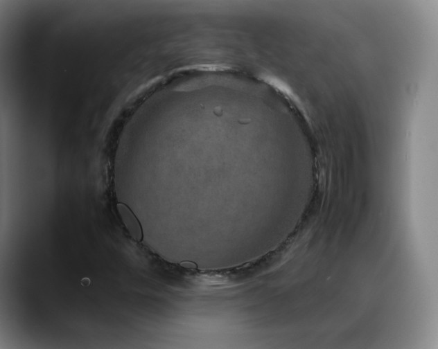 X0000090621448200707171426