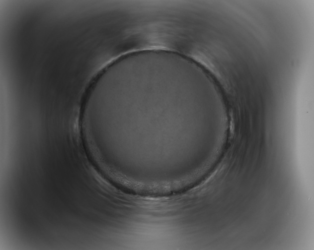 X0000090621452200707171426