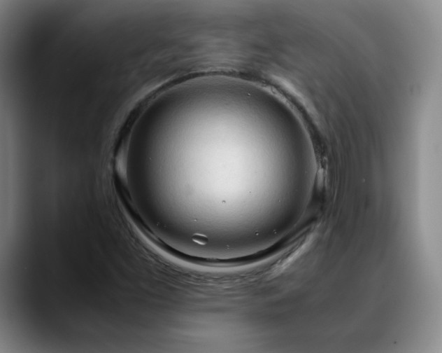 X0000090621453200707171426