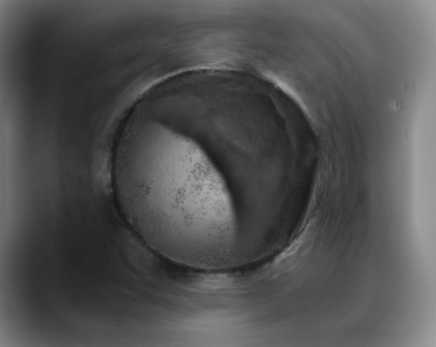 X0000090621455200707171426