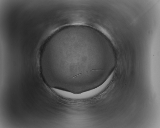 X0000090621456200707171426