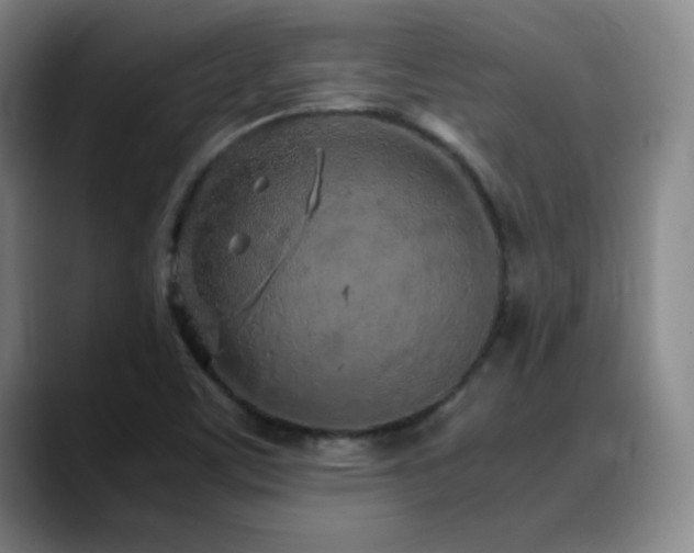 X0000090621459200707171426