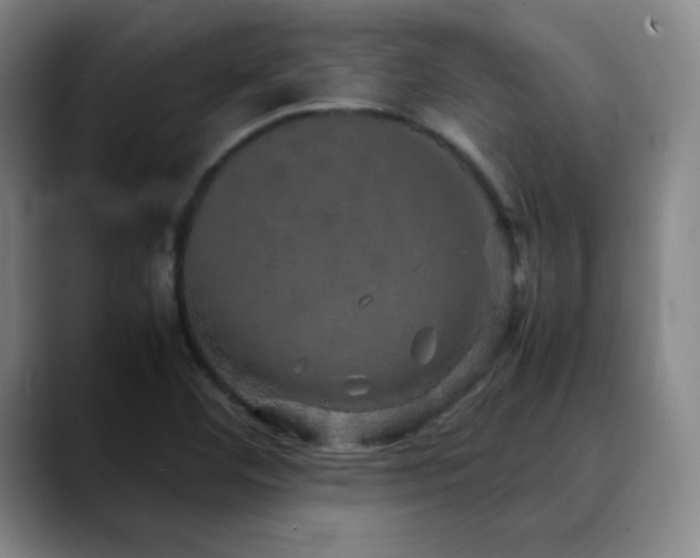 X0000090621460200707171426