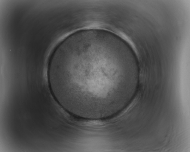 X0000090621464200707171426