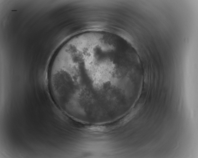X0000090621466200707171426