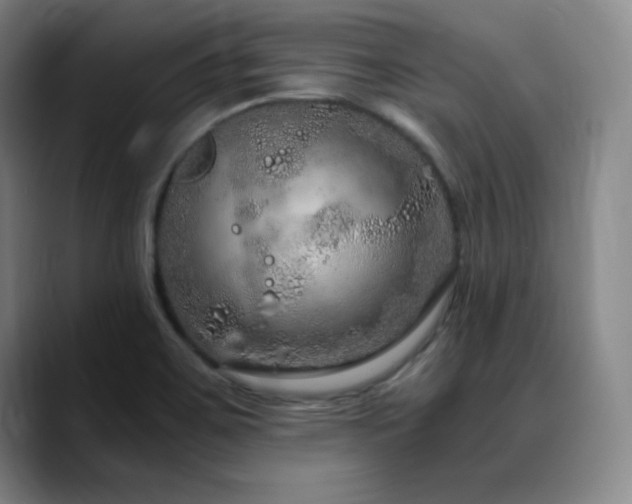 X0000090621467200707171426