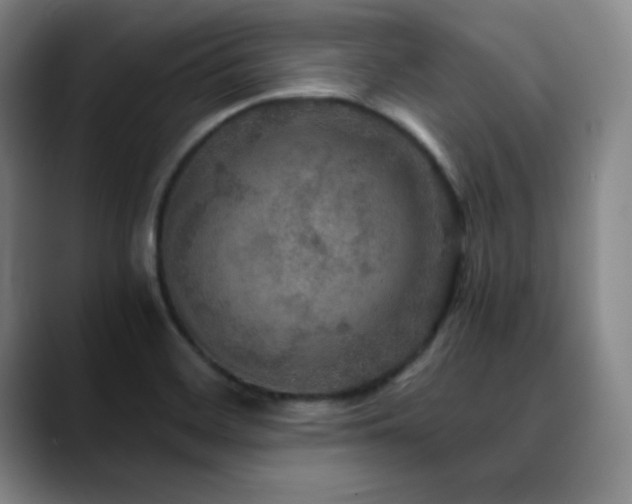 X0000090621468200707171426
