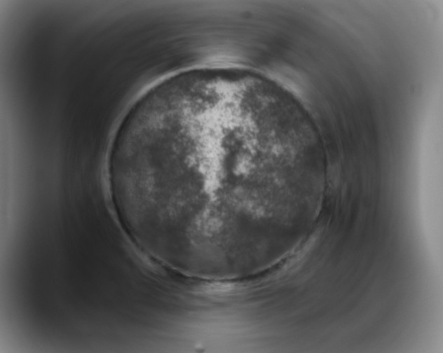 X0000090621470200707171426