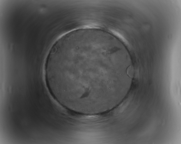X0000090621471200707171426