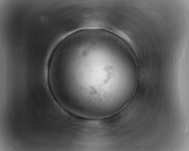 X0000090621472200707171426