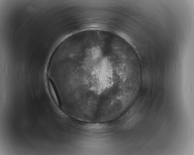 X0000090621474200707171426
