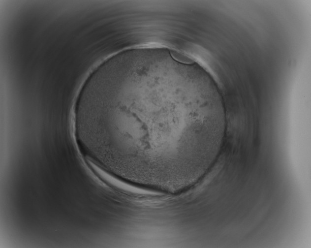 X0000090621476200707171426