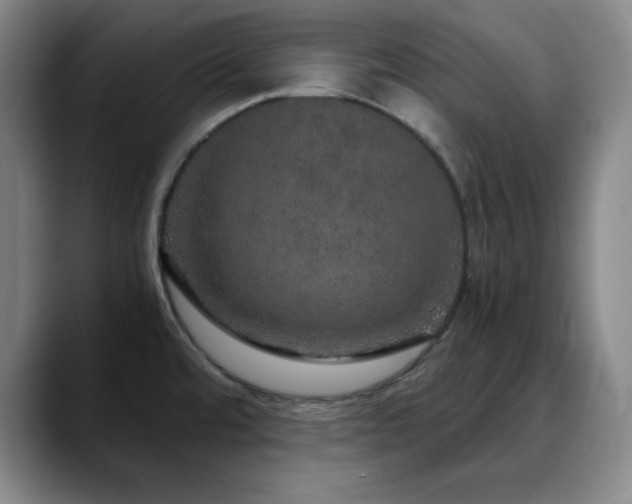 X0000090621480200707171426