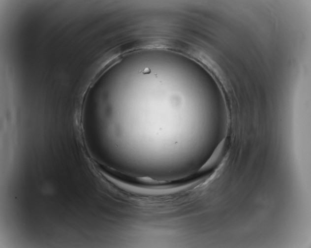 X0000090621481200707171426