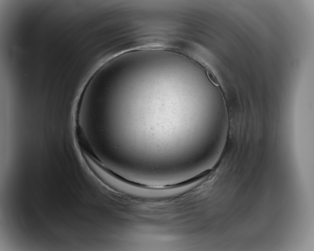 X0000090621483200707171426