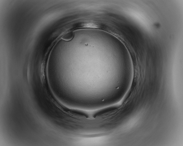 X0000090621487200707171426