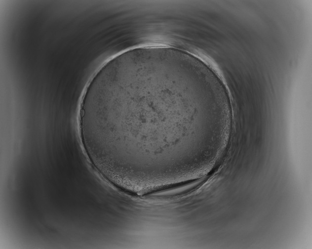 X0000090621488200707171426