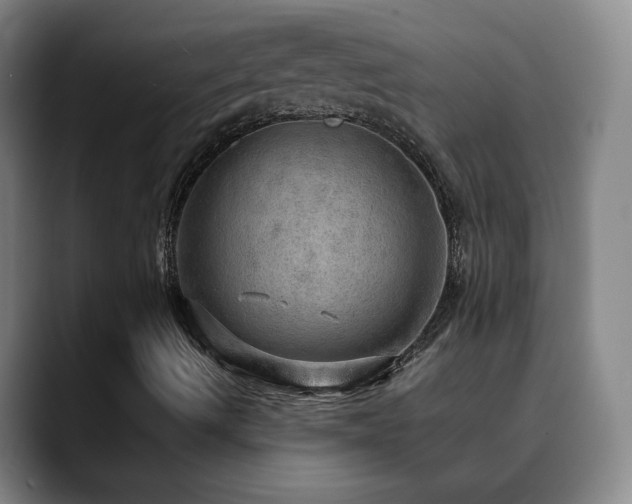 X0000090621490200707171425