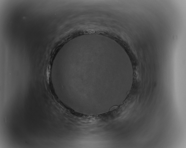 X0000090621493200707171425