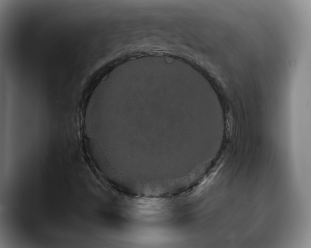X0000090621494200707171425