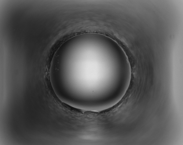 X0000090621495200707171425