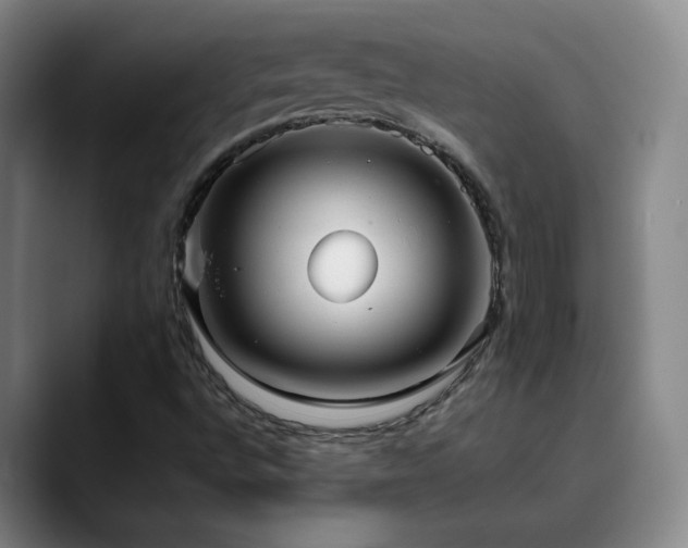X0000090621496200707171425