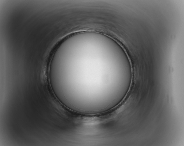 X0000090621498200707171425