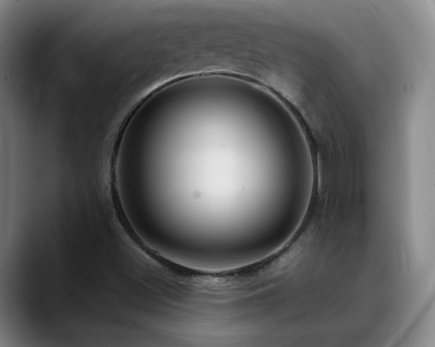 X0000090621500200707171425