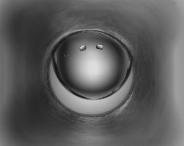 X0000090621502200707171425