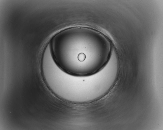 X0000090621504200707171425