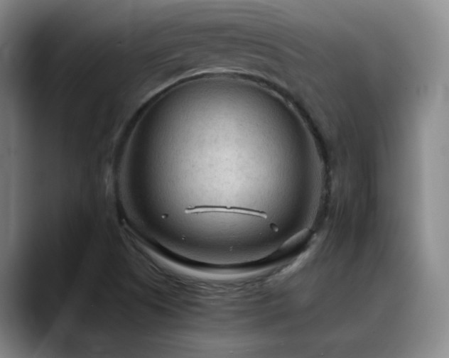 X0000090621505200707171425