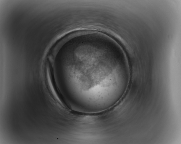 X0000090621506200707171425