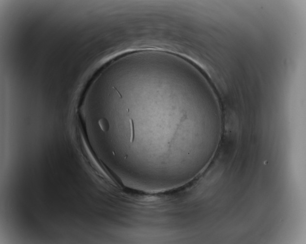 X0000090621507200707171425