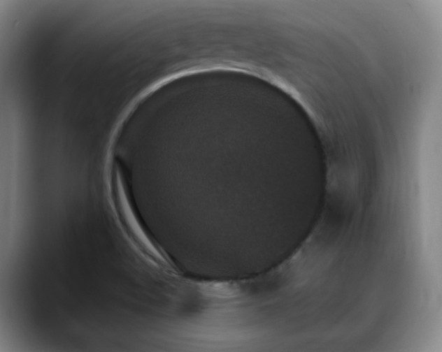 X0000090621508200707171426