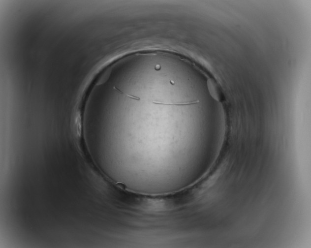 X0000090621509200707171426