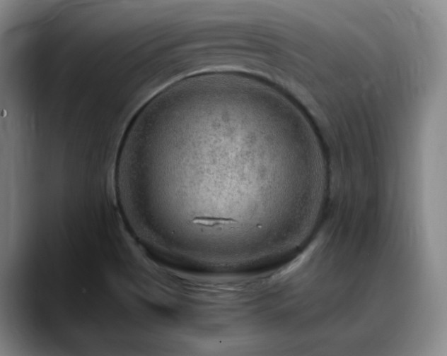 X0000090621513200707171426