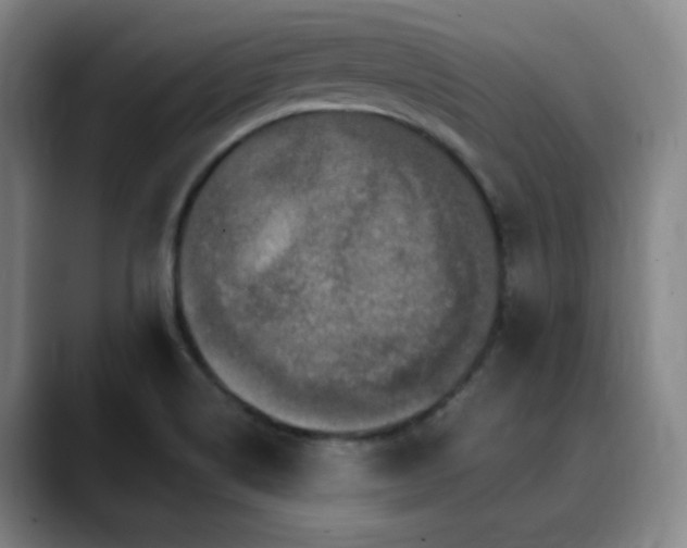 X0000090621514200707171426