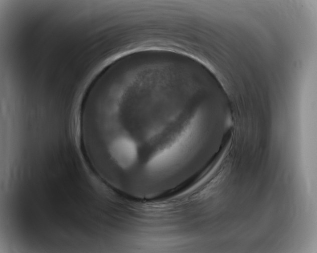 X0000090621515200707171426