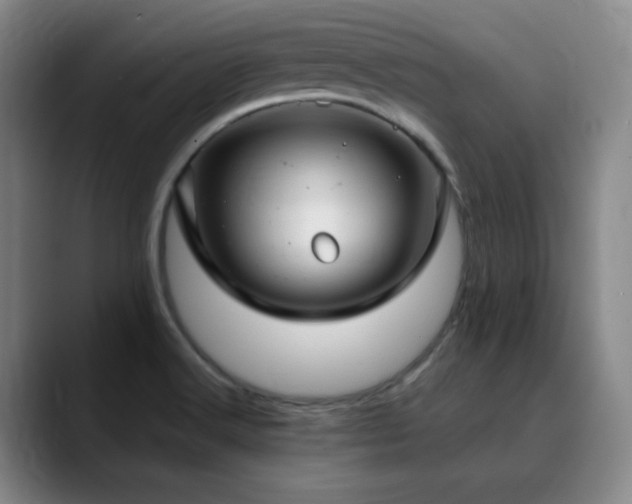 X0000090621516200707171426