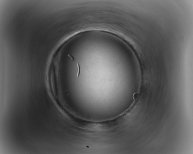 X0000090621517200707171426