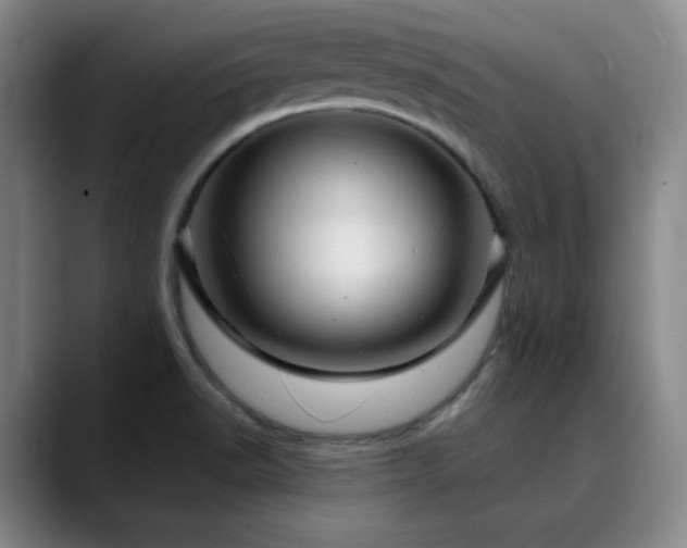 X0000090621518200707171426
